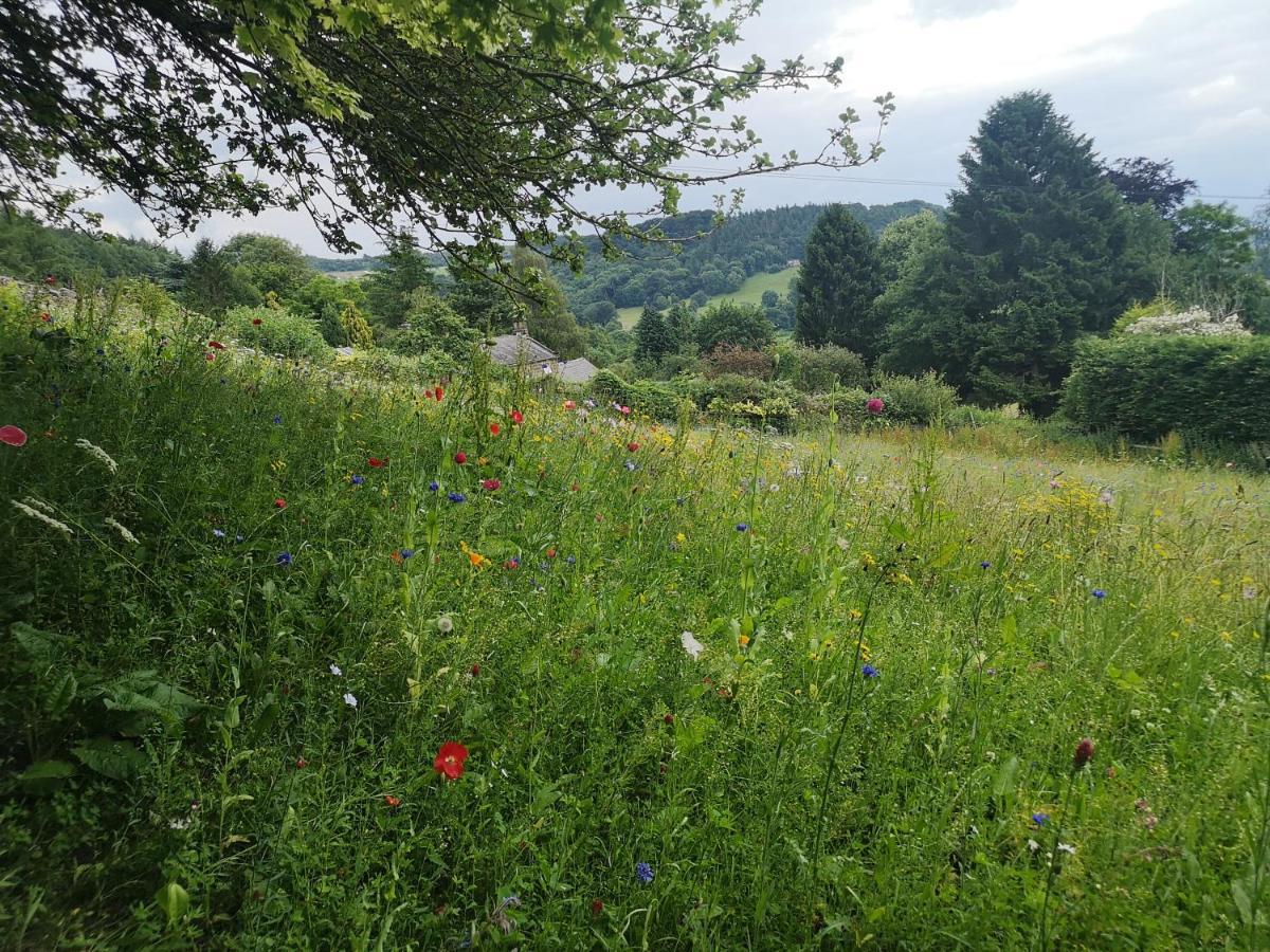 1 Bed Studio In Two Dales Near Matlock & Bakewell Exterior photo